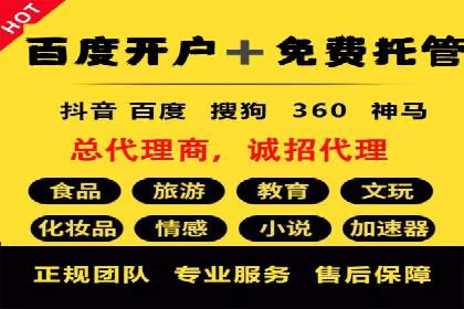 SEM代运营案例：提升转化率之道